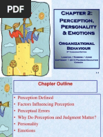 Perception Robbins and Judge PDF