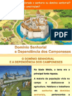 PPT1-O Domínio Senhorial