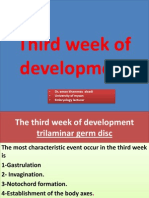 7th Lecture The Third Week of Development