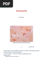 Salmonella