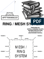 Mesh Ring Network