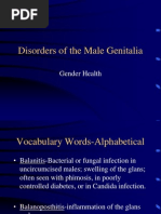 Disorders of The Male Genitalia: Gender Health