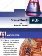 Scrotal Swelling2