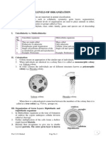 Levels of Organization in Animals