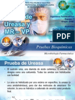 Equipo 7 Microbiología Prueba de MR - VP