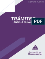 lv2013 Tramites Sunat