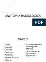 Anatomía Radiológica