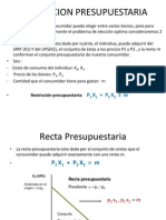 Restriccion Presupuestaria 3 - Proyecto 2