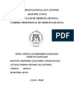 Fístulas Vesicovaginales y Ureterovaginal