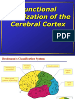 Functional Localization of The Cerebral Cortex