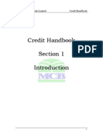 Revised Credit HandBook