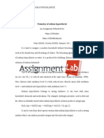 Chemistry of Sodium Hypochlorite / Essay / Paper