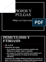 Piojos y Pulgas