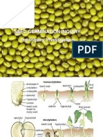 Seed Germination Inquiry Pre-Inquiry Investigation