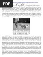 Dog Training Equipment