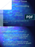 Molecular Plant Breeding & Tissue Culture Techniques