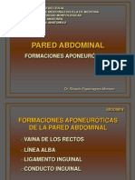 Abdomenpared 1