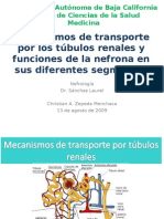 Mecanismos de Transporte y Función de La Nefrona.