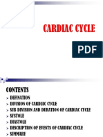 Cardiac Cycle