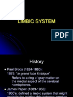 Limbic System