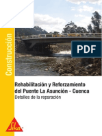 Reforzamiento Puente La Asuncion