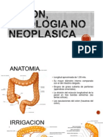 Colon, Patologia No Neoplasica