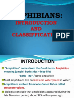 Classification of Amphibians