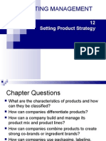 12 Setting Product Strategy