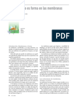 07-Juan Murcia Vela Hiperboloides Parabolicos