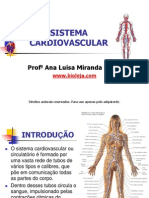 Apres Sistema Cardiovascular Bioloja v2