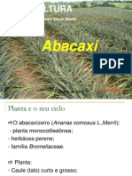 Abacaxi