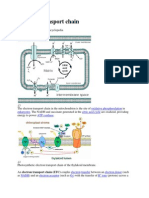 Electron Transport Chain