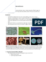 Chapter 1 Microbial Life Origin and Discovery