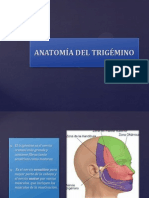 Semiologia Del Trigemino