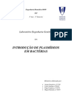 Plasmid Introduction Report Tri Parental Conjugation (PT)