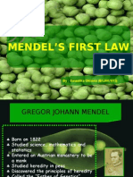 Mendel'S First Law: By: Swastika Oktavia (B1J007013)