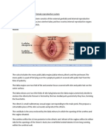 Anatomy and Physiology of Female Reproductive System