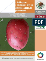 Folleto Tuna TAMAÑO REAL Ok PDF