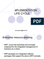 ERP Implementation