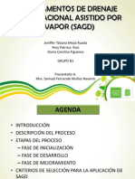 SAGD Exposicionb1