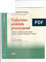 Libro Violaciones Al Debido Proceso Penal Amoreti Pachas