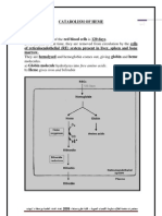 Catabolism of Heme