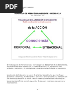 Triangulo de Atención Conciente - V2.0