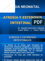 Atresia y Estenosis Texto I