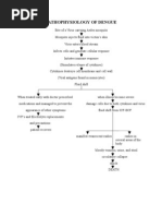 Pa Tho Physiology of Dengue