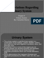 Urinary System by Carmelita Chavez