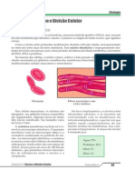 Biologia1-PV2D-07-BIO-11 - Citologia - CAP7 - Nucleo e Divisao Celular - FINAL