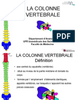 PCEM1 2008 Cours 3 Col Vertebral