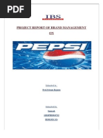 Project Report of Brand Management