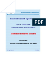 Ackermann - 2010 - Mass and Energy Balance - Production of Sugar, Ethanol and Energy Comparison of Main Parameters